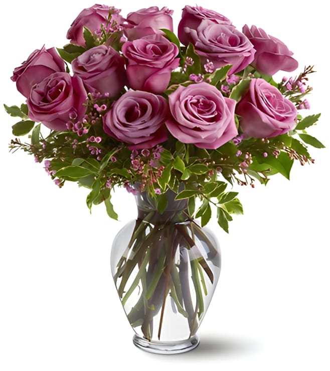 Lavender rose in vase