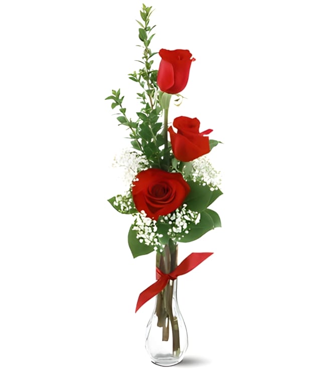 Graceful Red Rose in bud vase