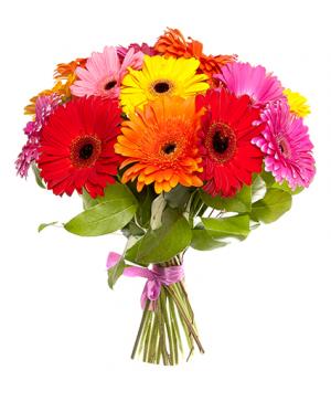 Bright Gerbera Bouquet