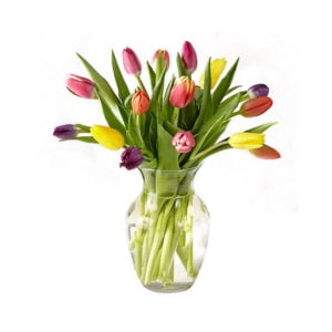 Vibrant Tulip Delight