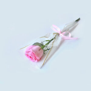 Graceful Single Pink Rose